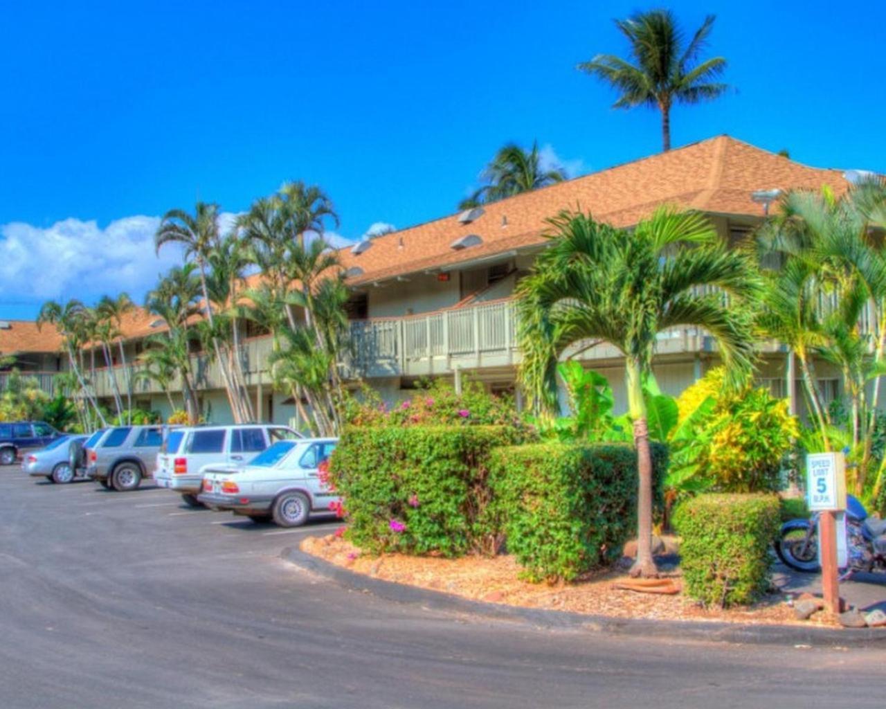 Kihei Bay Surf 130- Garden View Studio, Free Parking エクステリア 写真
